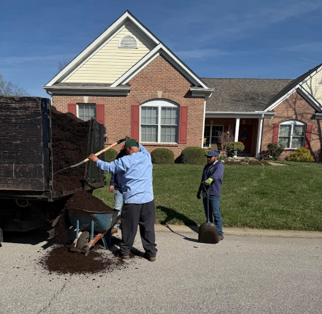 overseed | Hackmann Lawn & Landscape | St. Charles MO