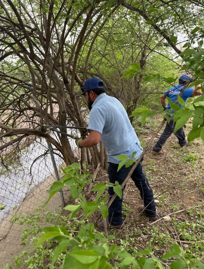 debris clearing, weed removal, overgrown plants| St.Charles MO | Hackmann Lawn & Landscape