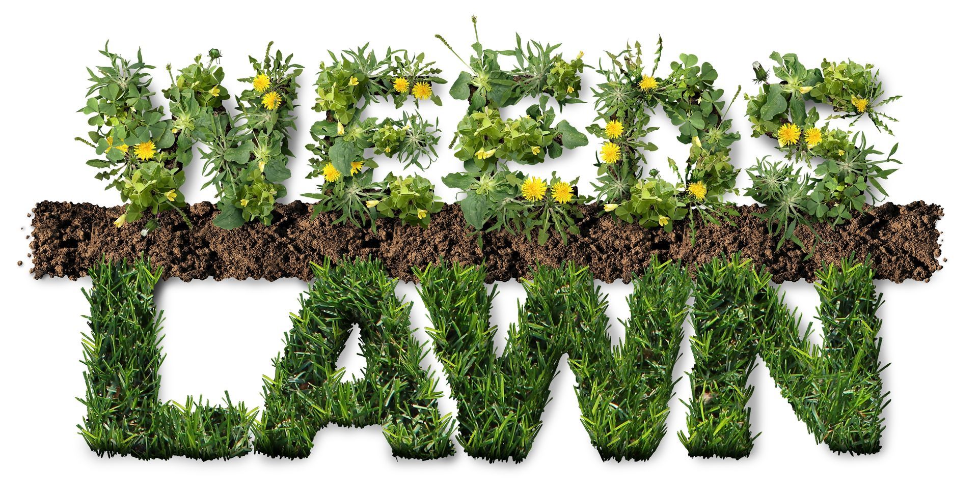 spring weeds | Lake St Louis | Hackmann Lawn & Landscape