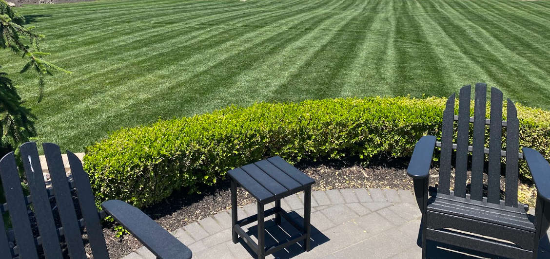 Best Summer Lawn Care Tips | St Louis MO | Hackmann Lawn