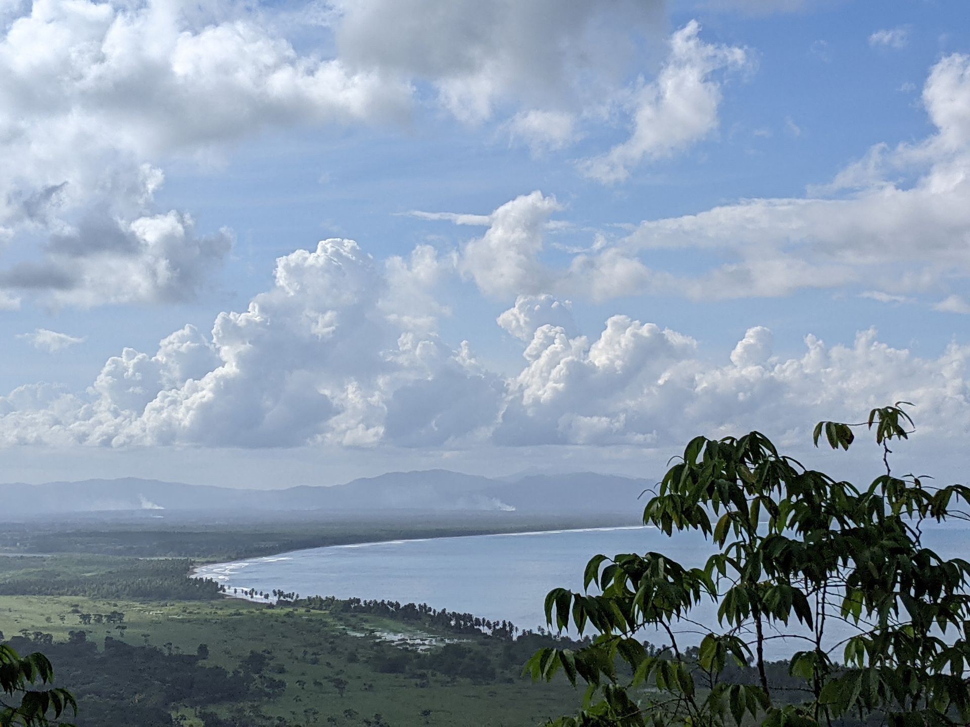 Coastal view with blue ocean, green land, white clouds, and leafy tree branch in the foreground.