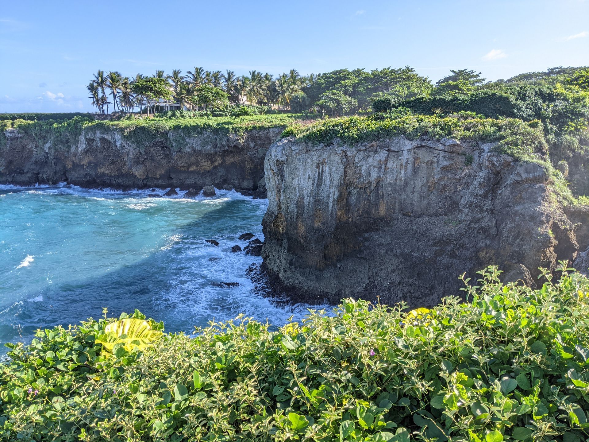 Cliffs along turquoise ocean with lush green vegetation. Palm trees on top of the cliffs under a blue sky.
