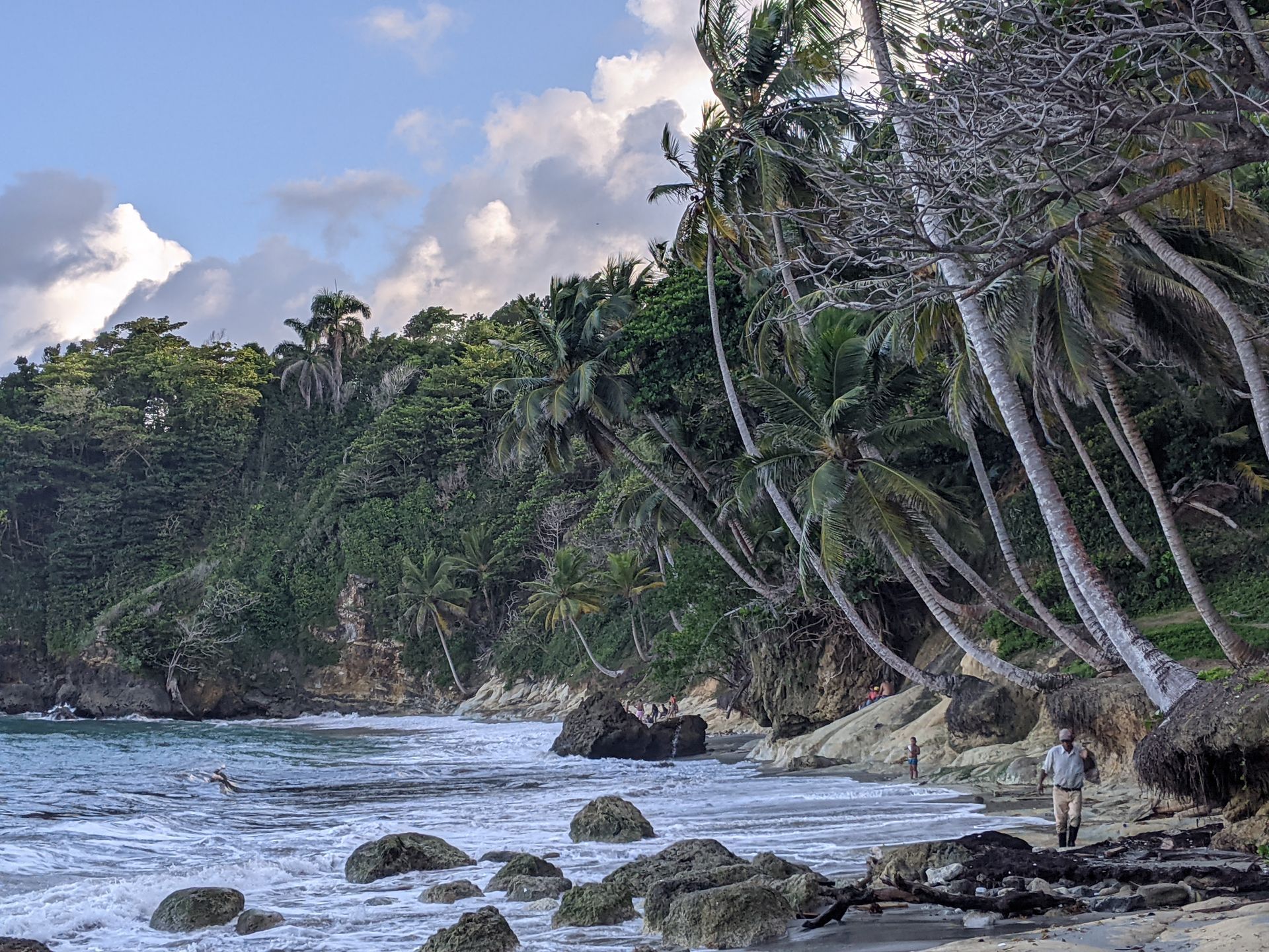 Beach with waves, rocks, and palm trees; person walking on the sand, cliffs in background, cloudy sky.