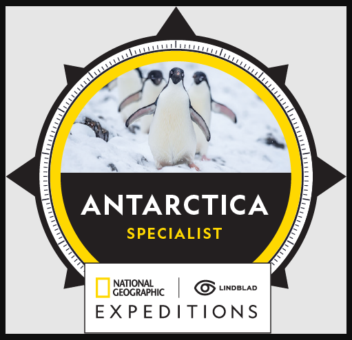Logo penguins in Antarctica. Yellow and black circle reads 