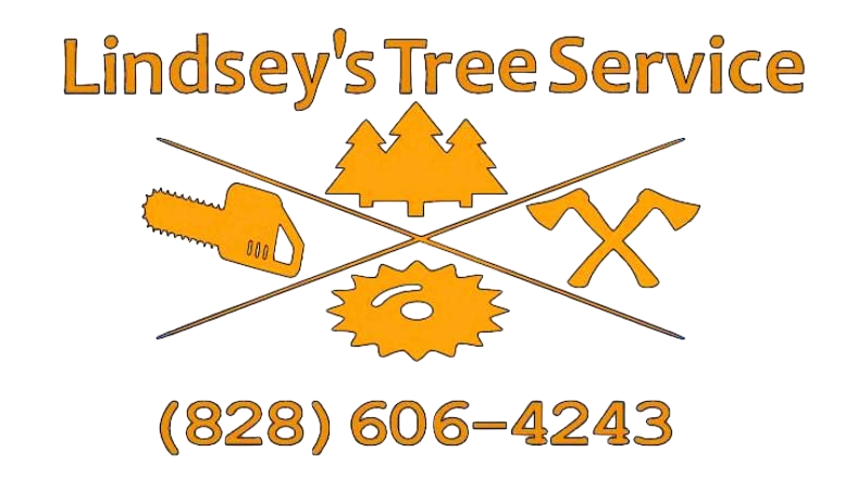 Lindsey's Tree Service Lindsey's Tree Service