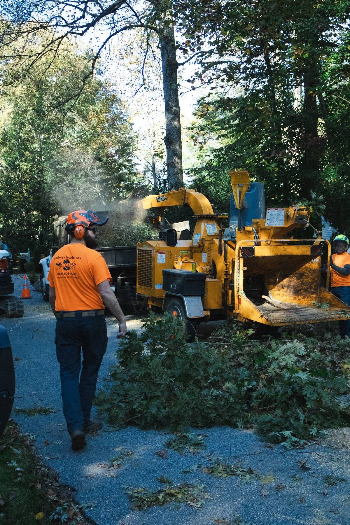 Tall tree being cut down by an excavator with a Takeuchi arm, sunny day.