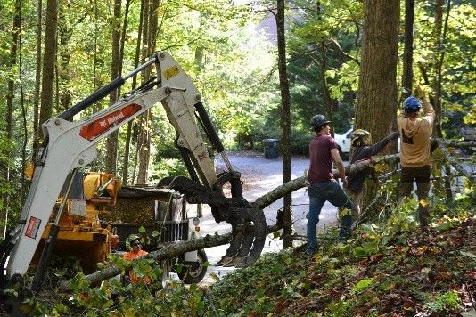 Forestry work scene with a white excavator.
