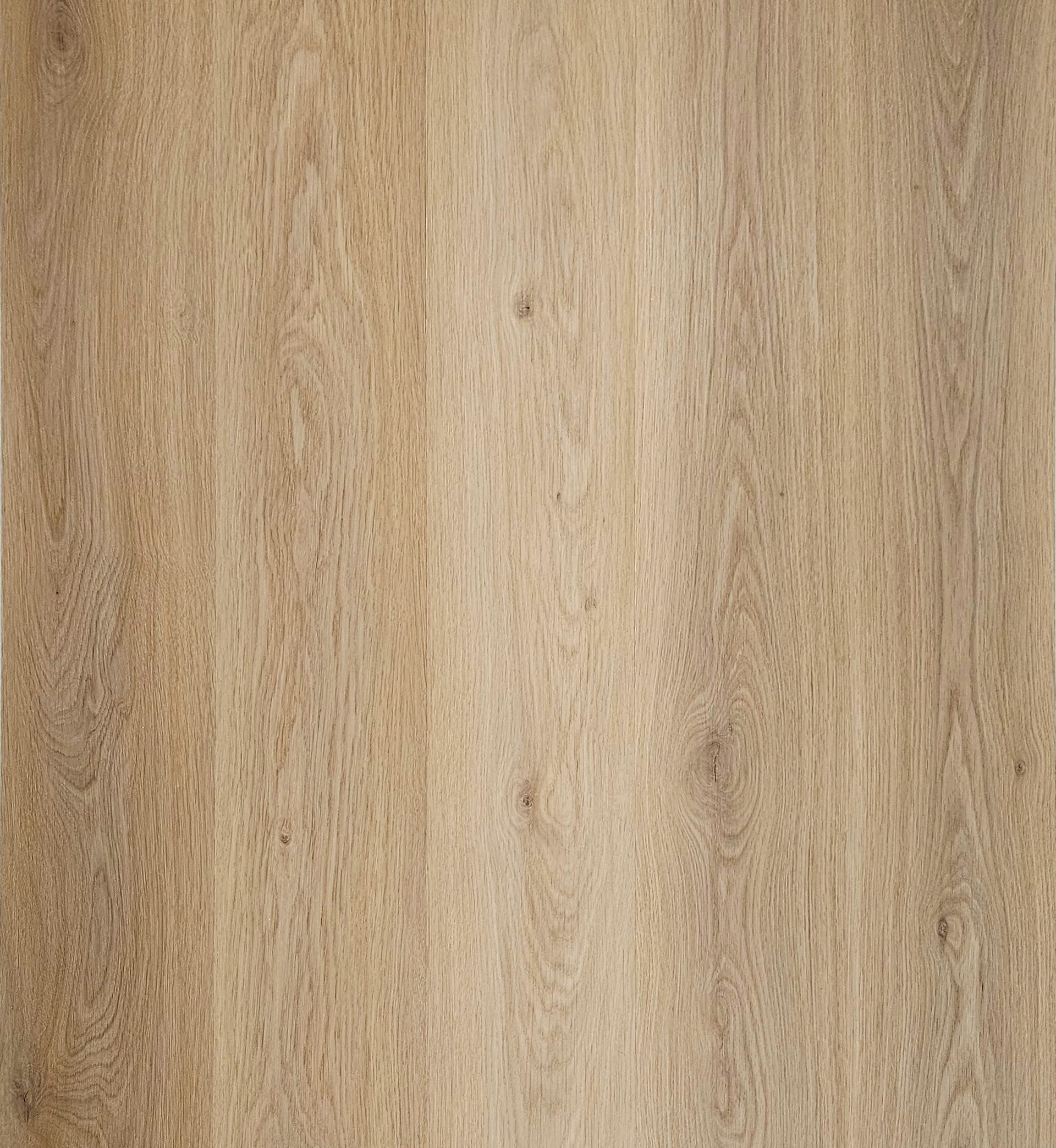Sala de estar moderna con sofá gris, cuadro redondo en la pared, otomana, mesa de centro y suelo de madera clara.