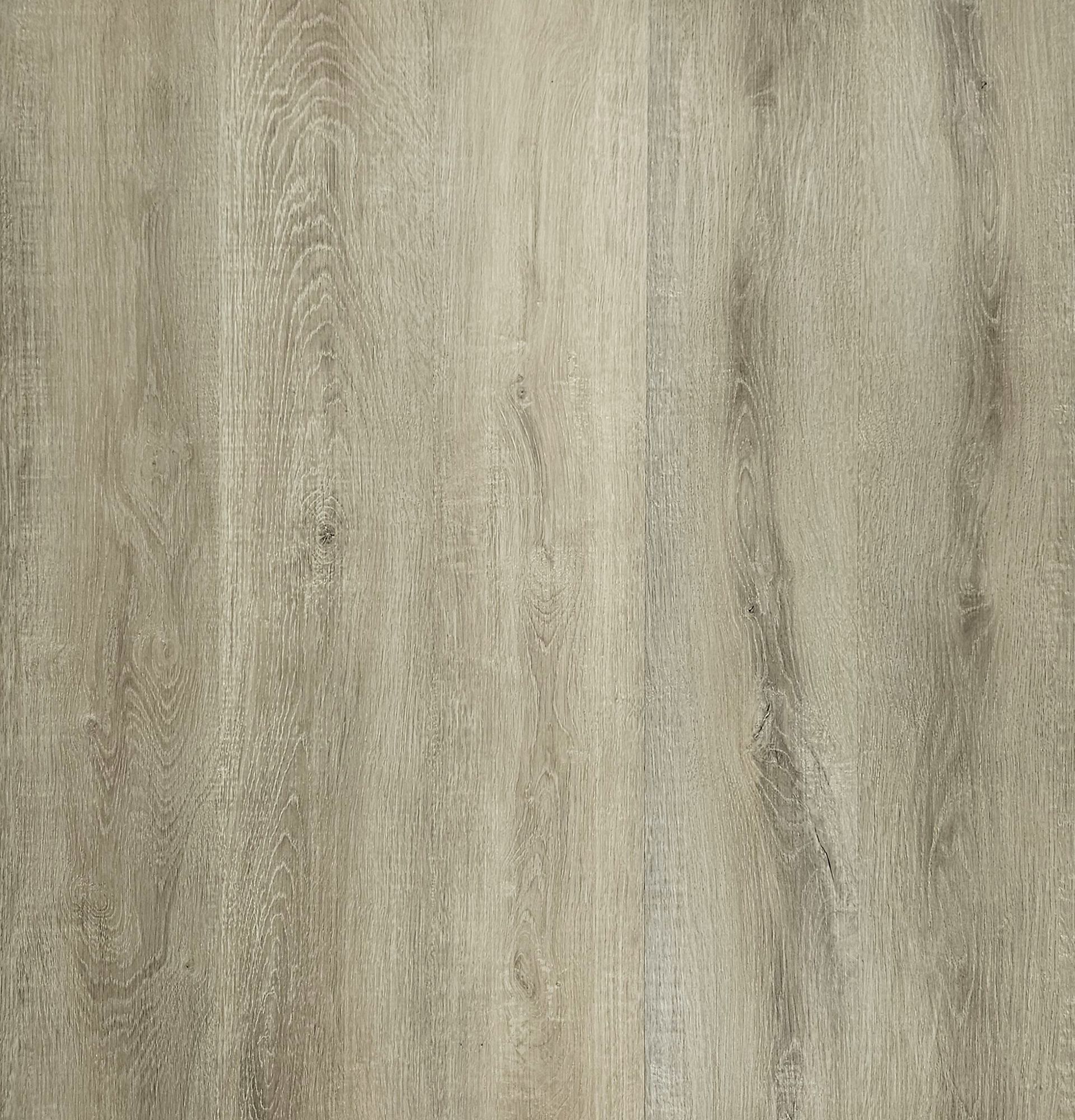 Sala de estar moderna con suelo de madera clara, sofá gris, mesa de centro redonda, plantas y persianas grandes.