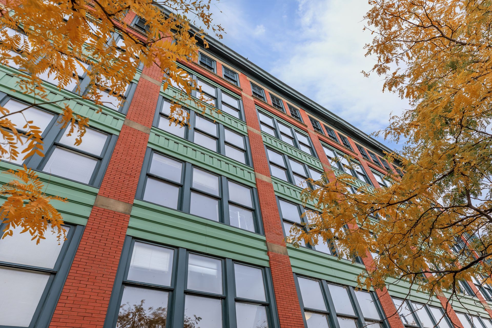 A large building with a lot of windows and a tree in front of it.