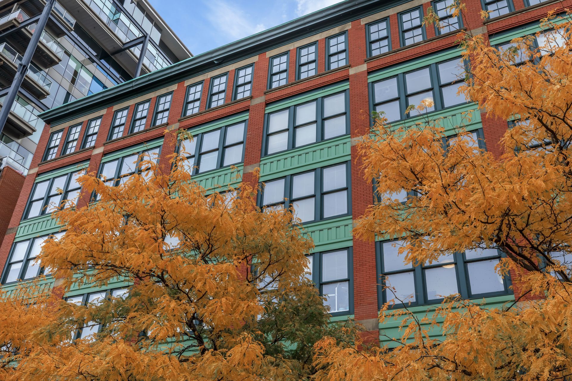 A building with a lot of windows and a tree in front of it.