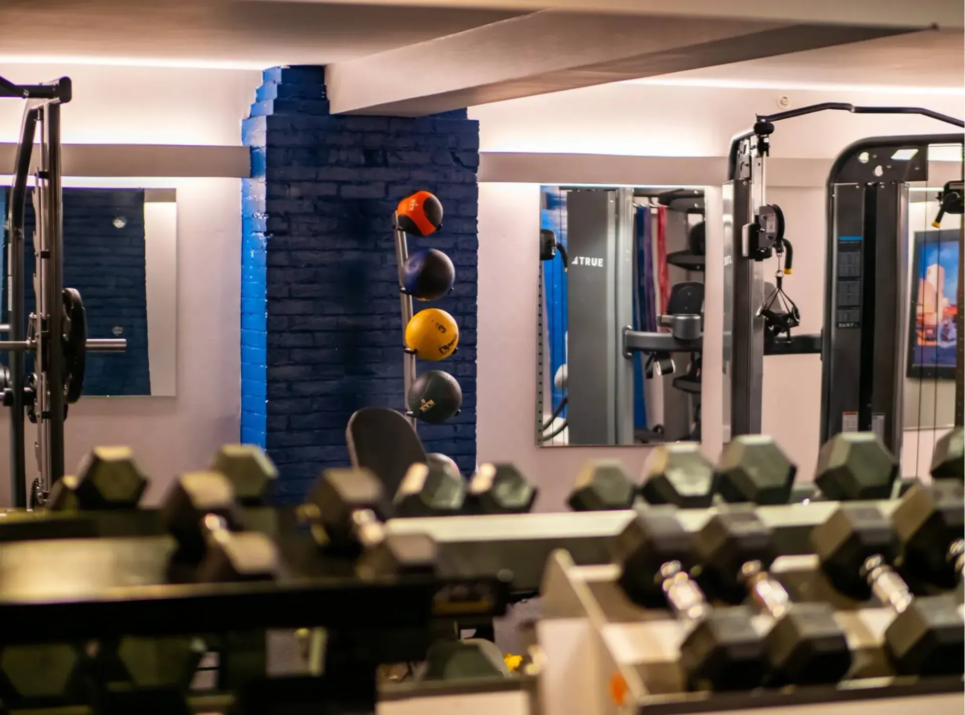 There are a lot of dumbbells in the gym.