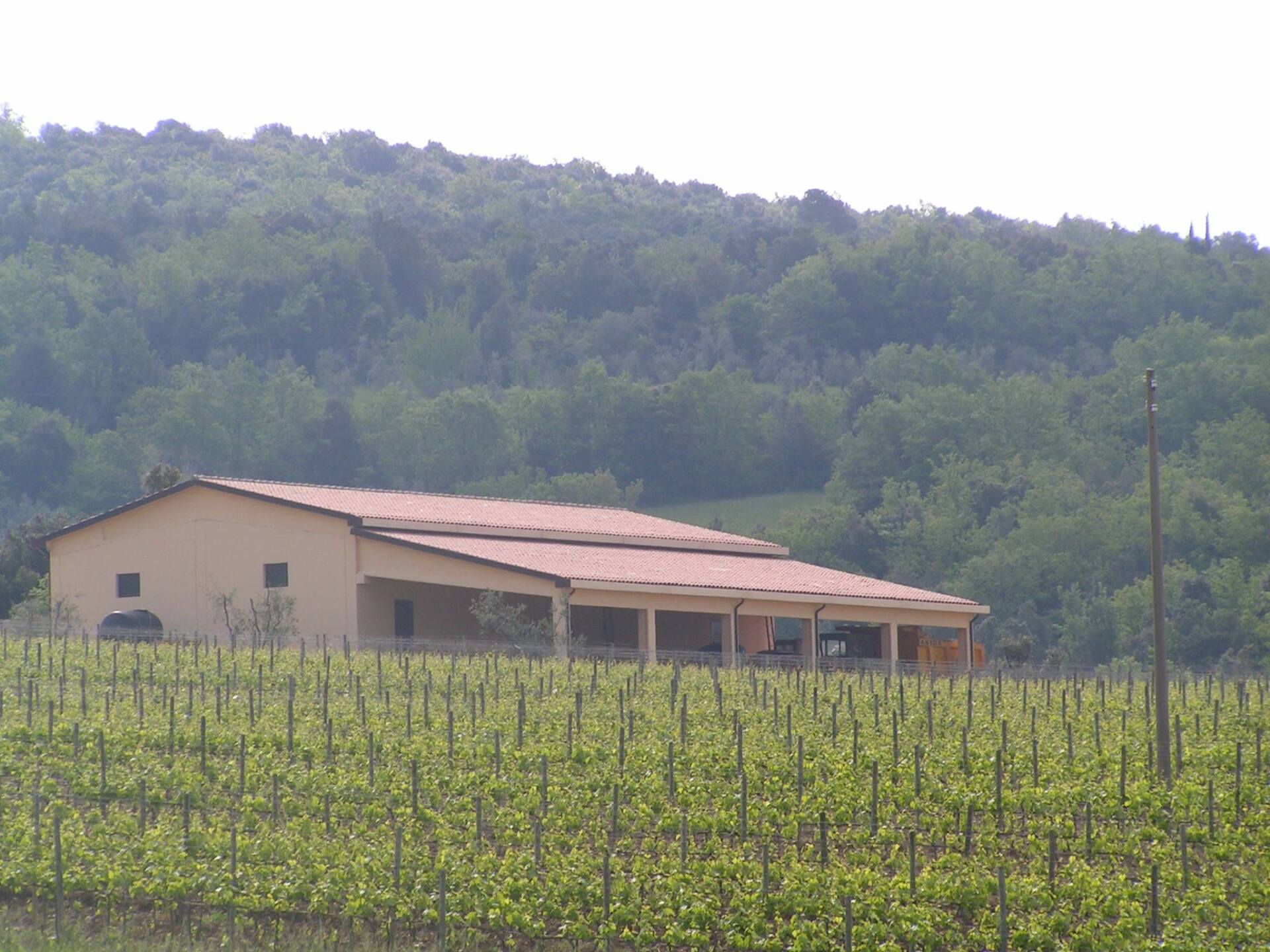 prefabbricato agricolo realizzato dall'impresa