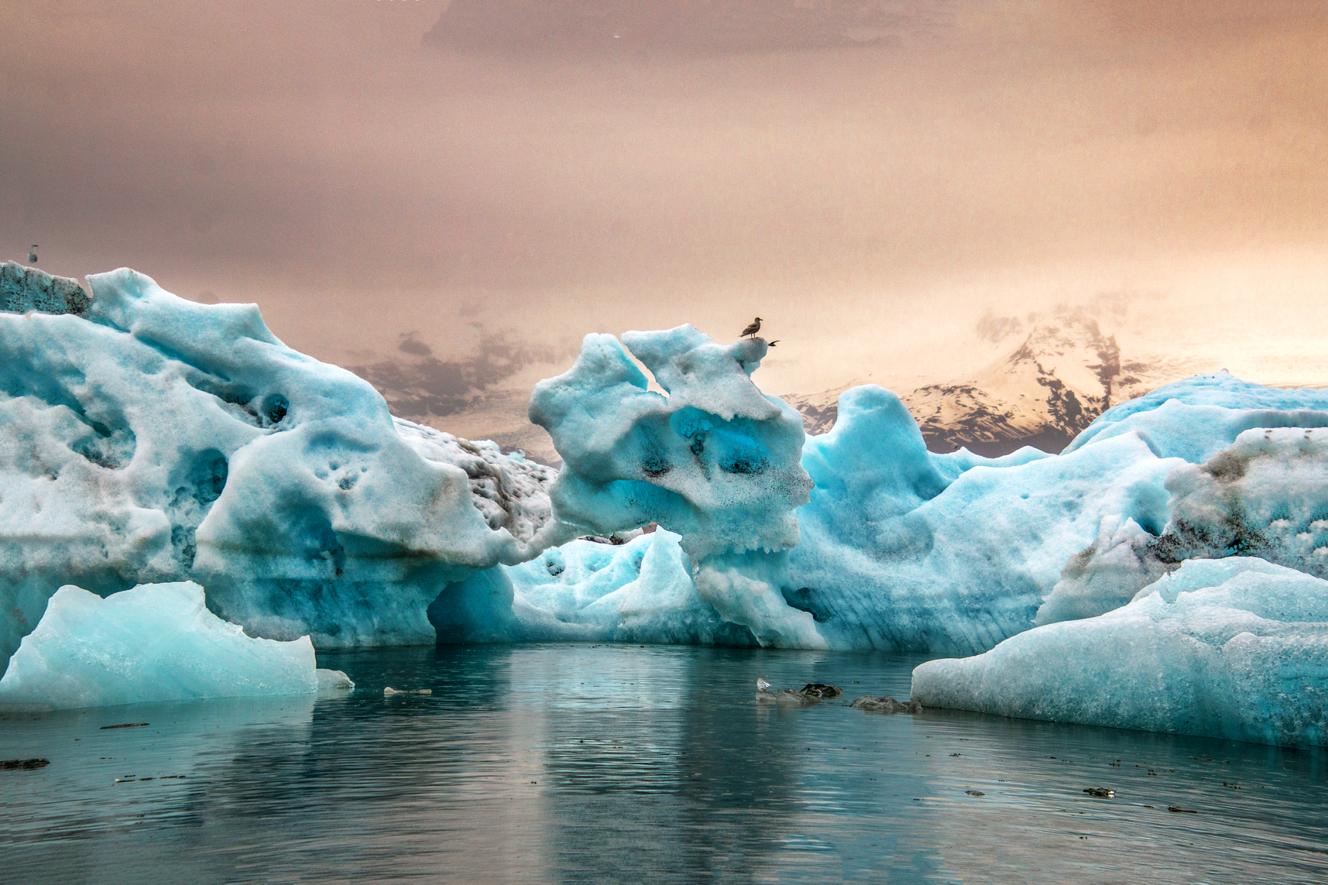 Beautiful Image of the icebergs in the sunset at Jökulsá glacier lagoon.