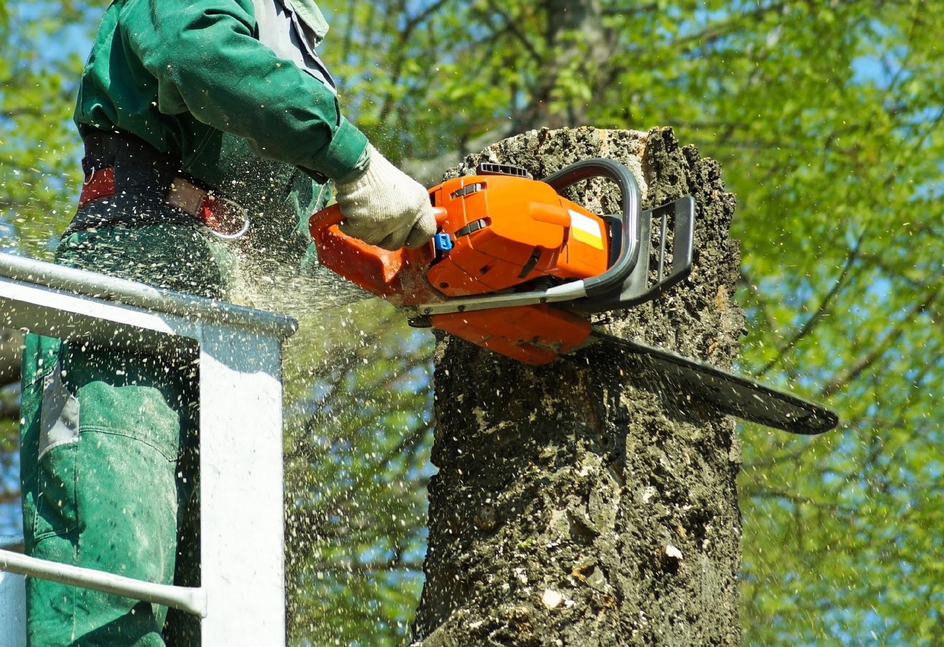 Man in green outfit using a chainsaw to cut a tree trunk.
