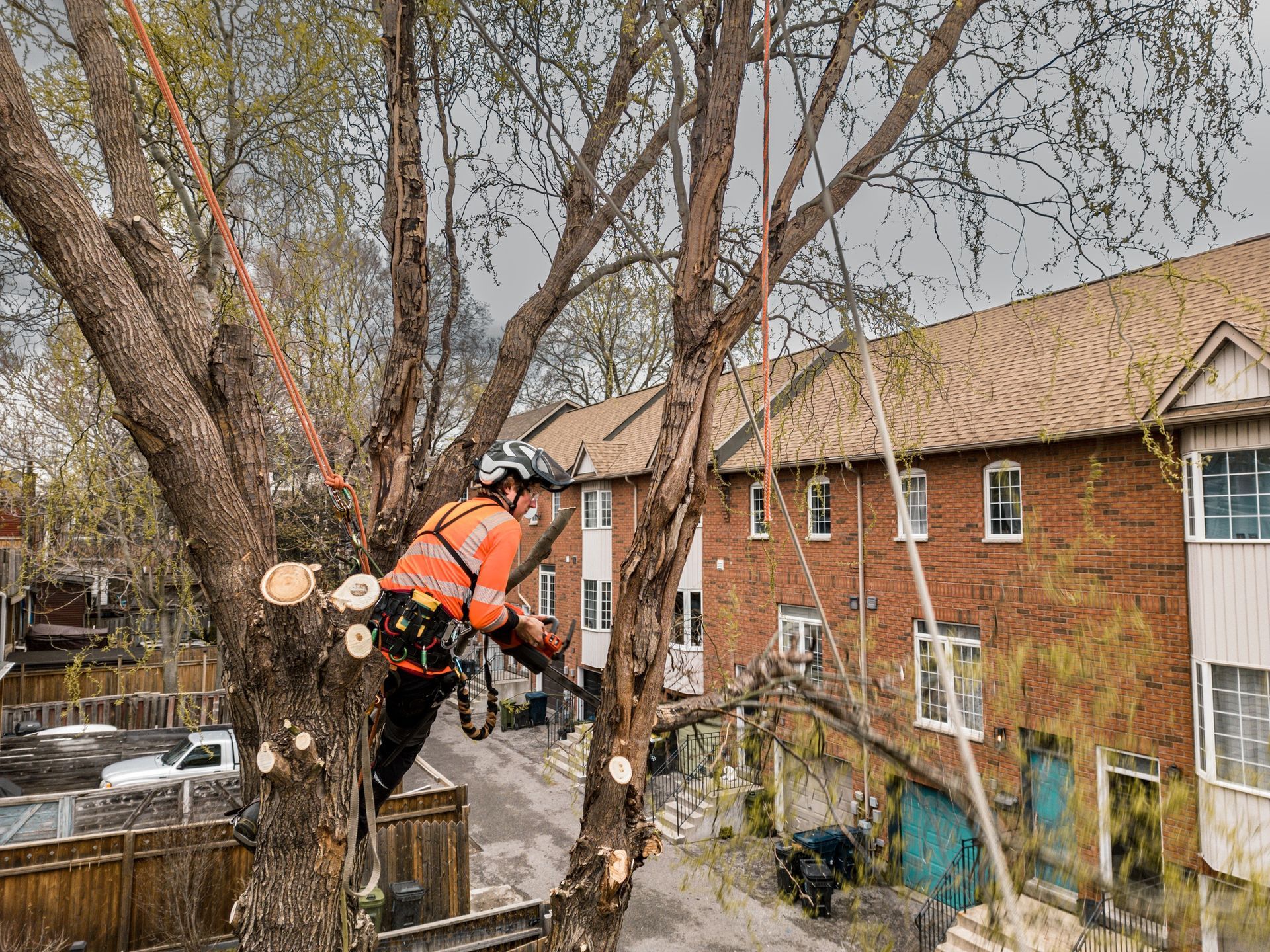 Arborist in safety gear using a chainsaw to trim a tree in front of a residential building.