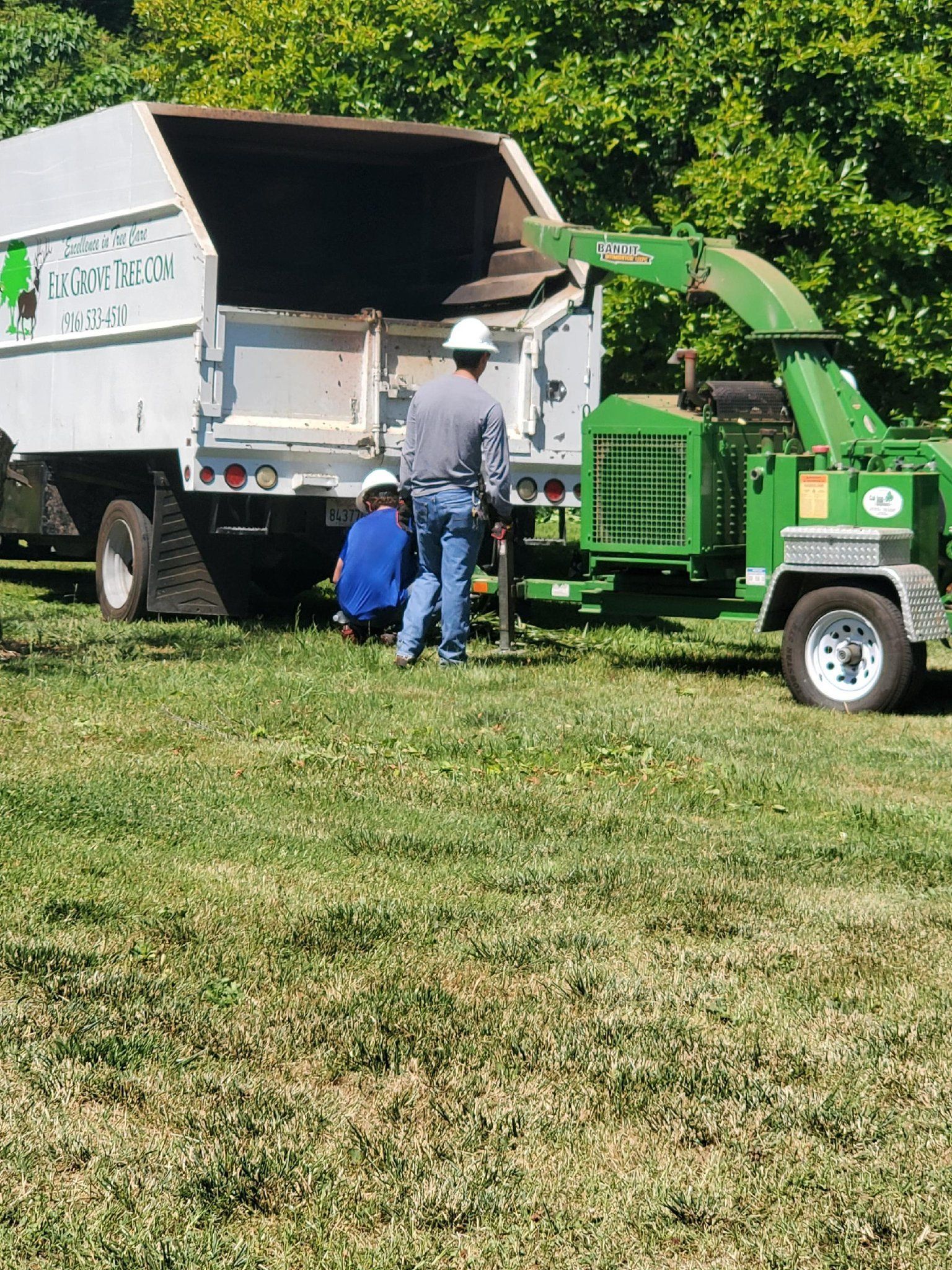 Two people feeding tree branches into a green wood chipper next to a truck with a raised bed. Outdoors on a lawn.