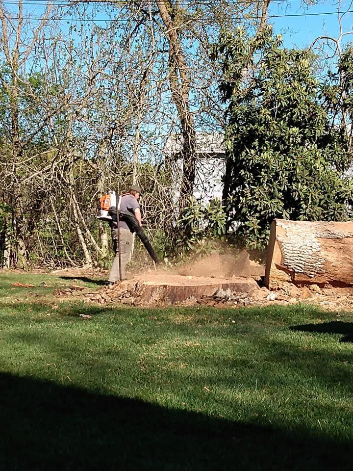 Person using a leaf blower on a tree stump in a yard, blowing away wood debris.