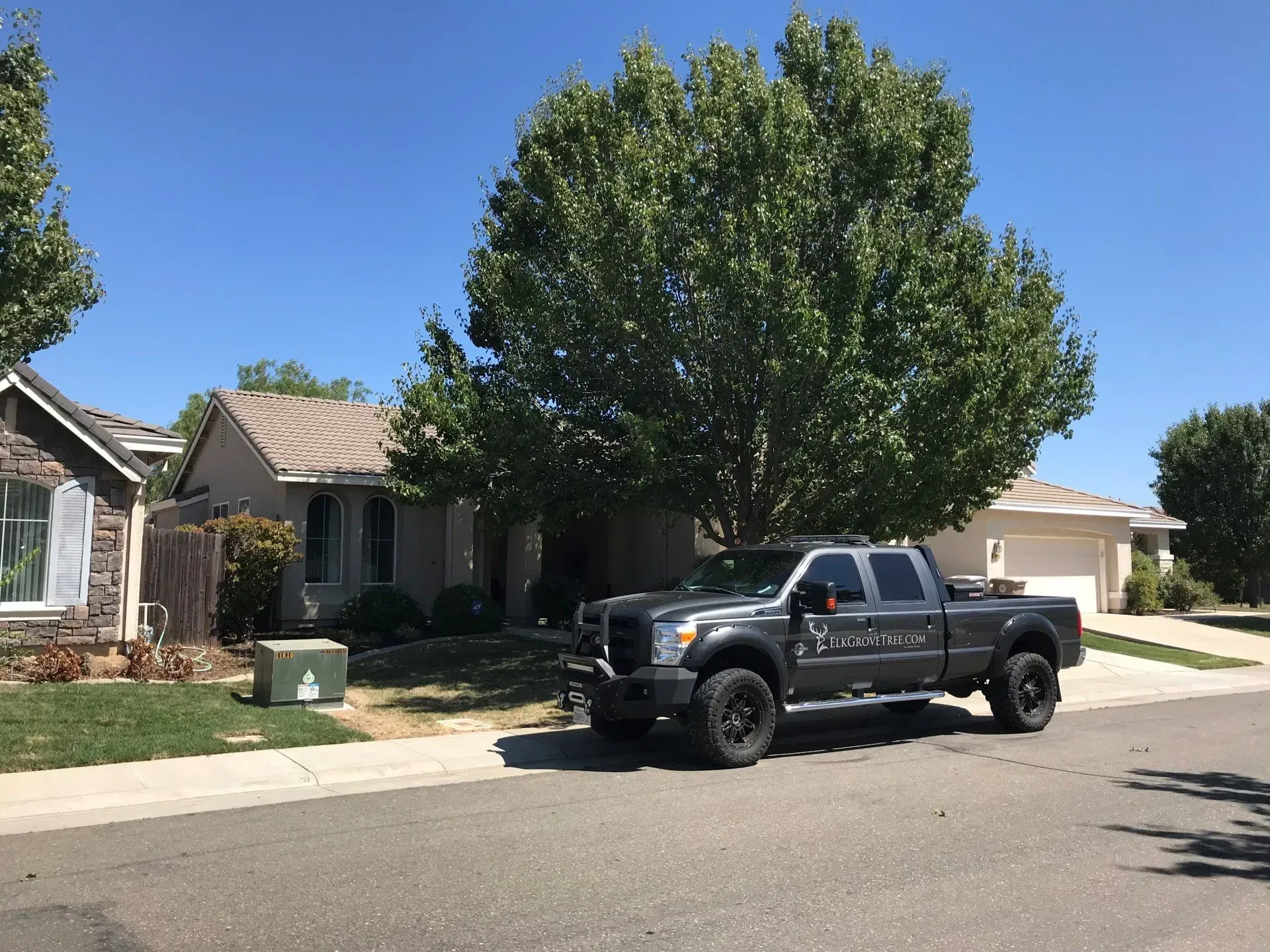 A gray pickup truck parked in front of a tan house with a large tree in the front yard under a blue sky.