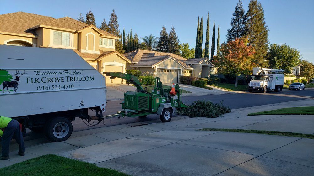 A tree service crew chipping branches on a residential street. A truck, chipper, and lift truck are present.