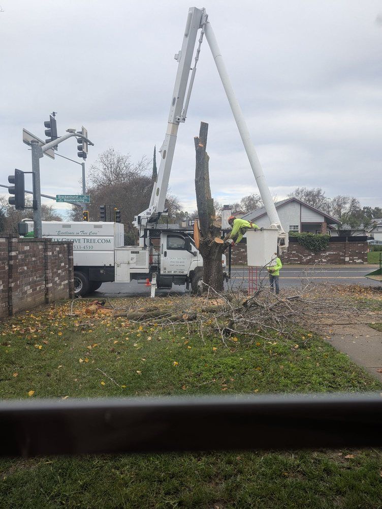 Tree trimming: Two workers in a bucket truck cutting down a tree at an intersection.