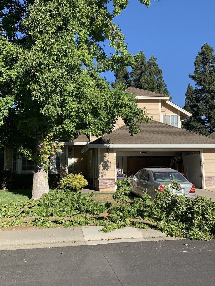 Tree branches fallen in front of a house, partially covering a parked car, sunny day.