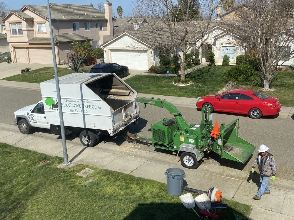Tree service truck and chipper in a residential neighborhood; worker in safety gear.