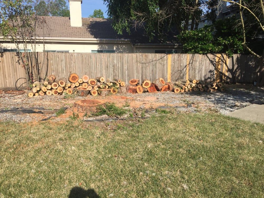 Pile of cut logs arranged along a wooden fence and gravel path in a backyard with grass and a tree stump.