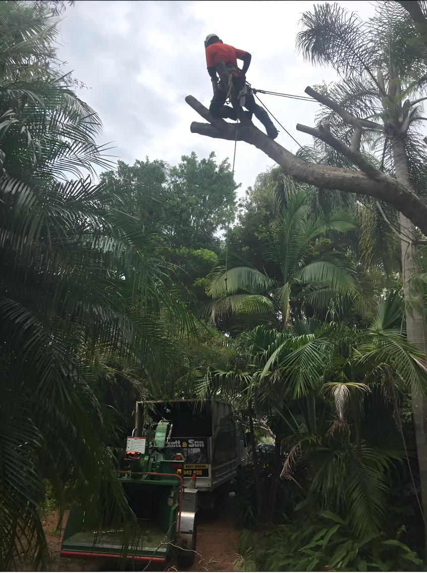 Arborist in Orange Shirt Trimming Tree Branches