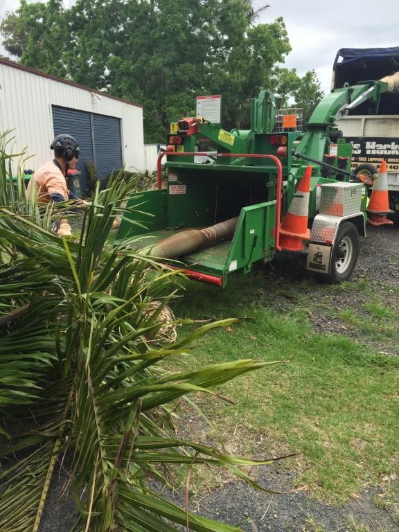 A Man Is Standing Next To A Tree Chipper In A Yard — Chris Hackett Tree Services In Lennox Head, NSW