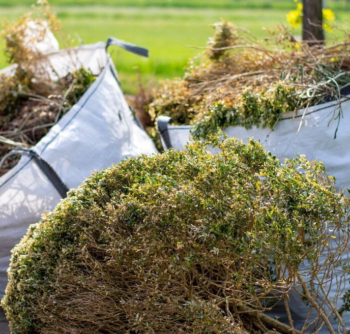 A Pile Of Branches And Leaves In A Bag — Chris Hackett Tree Services In Ballina, NSW