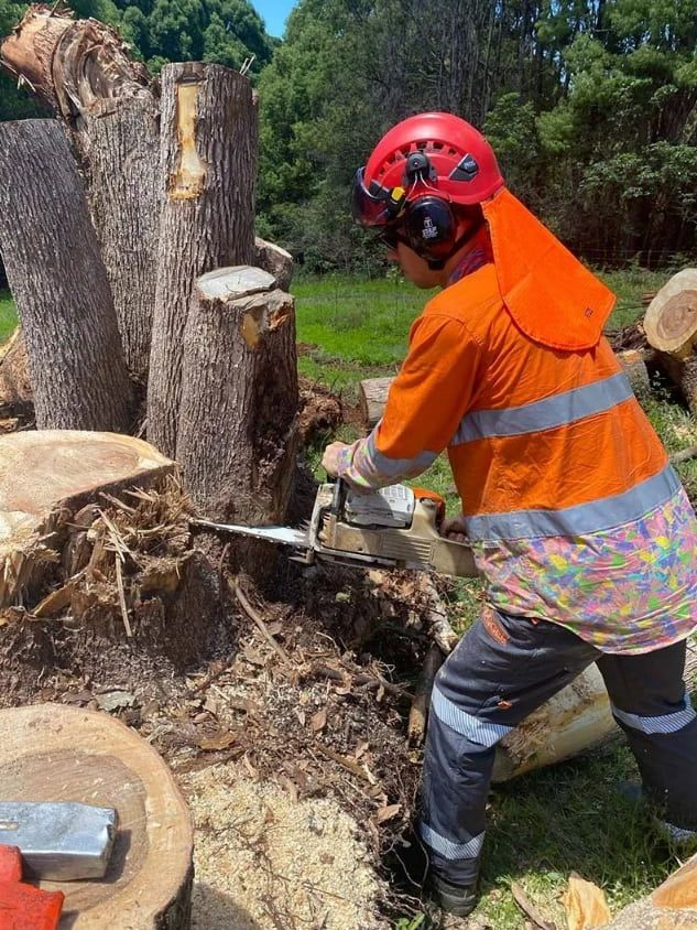 A Man Is Cutting A Tree Stump With A Chainsaw  — Chris Hackett Tree Services In Ballina, NSW