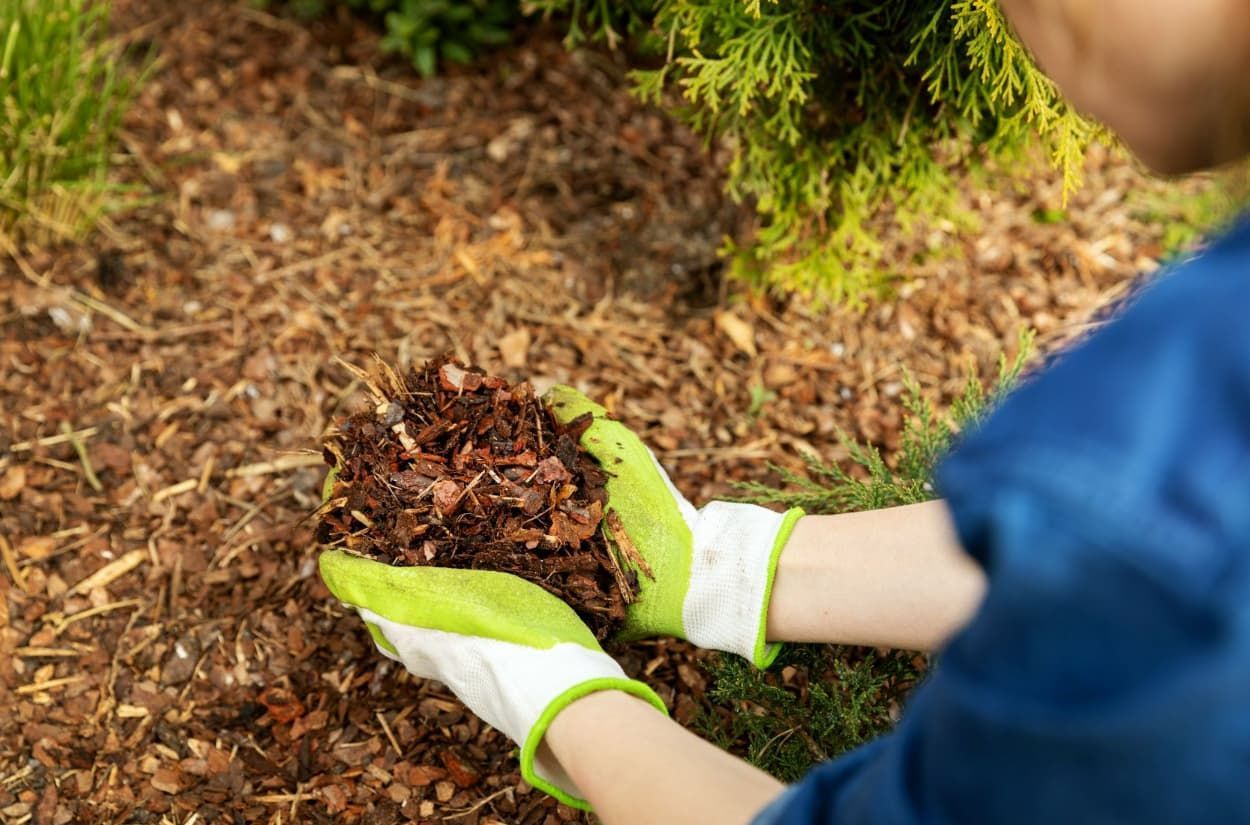 A Person Wearing Green Gloves Is Holding A Pile Of Mulch In Their Hands — Chris Hackett Tree Services In Ballina, NSW