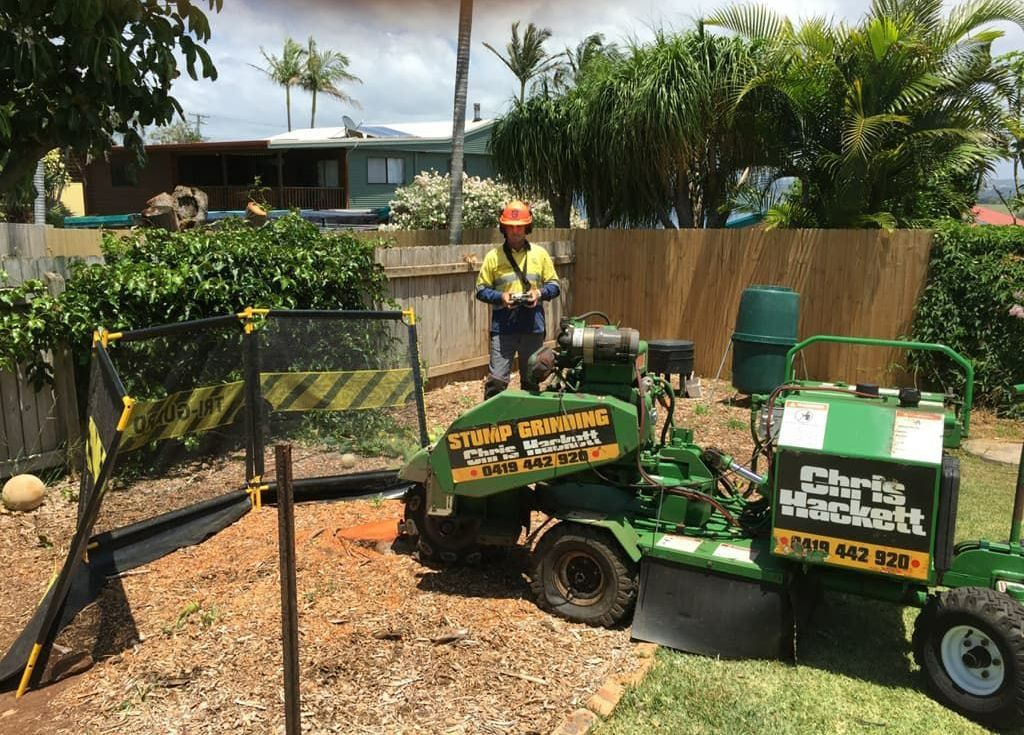 A stump grinder is being used to remove a tree stump — Chris Hackett Tree Services In Ballina, NSW