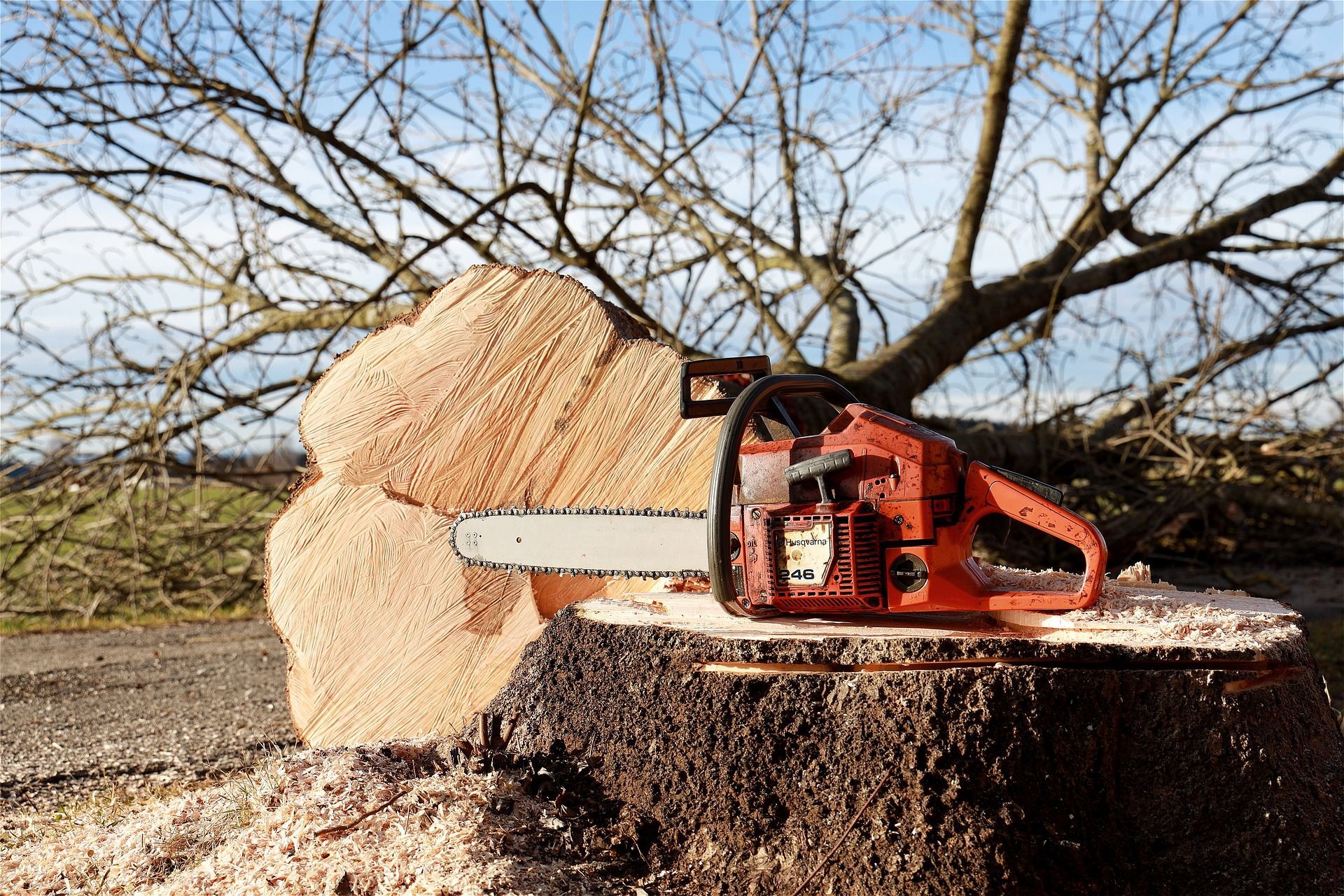 A chainsaw is sitting on top of a tree stump.