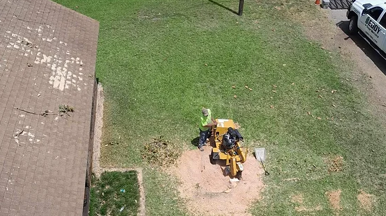 An aerial view of a stump grinder cutting a tree stump in a yard.