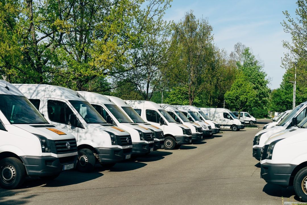 Row of white vans parked along a tree-lined lot under a blue sky