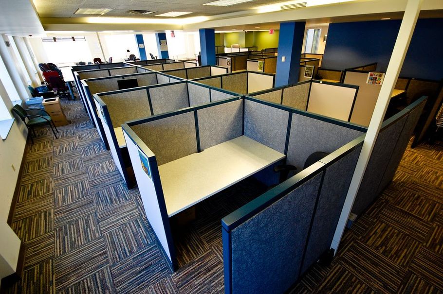 Empty office cubicles with blue partitions and carpeted flooring in a bright open-plan workspace