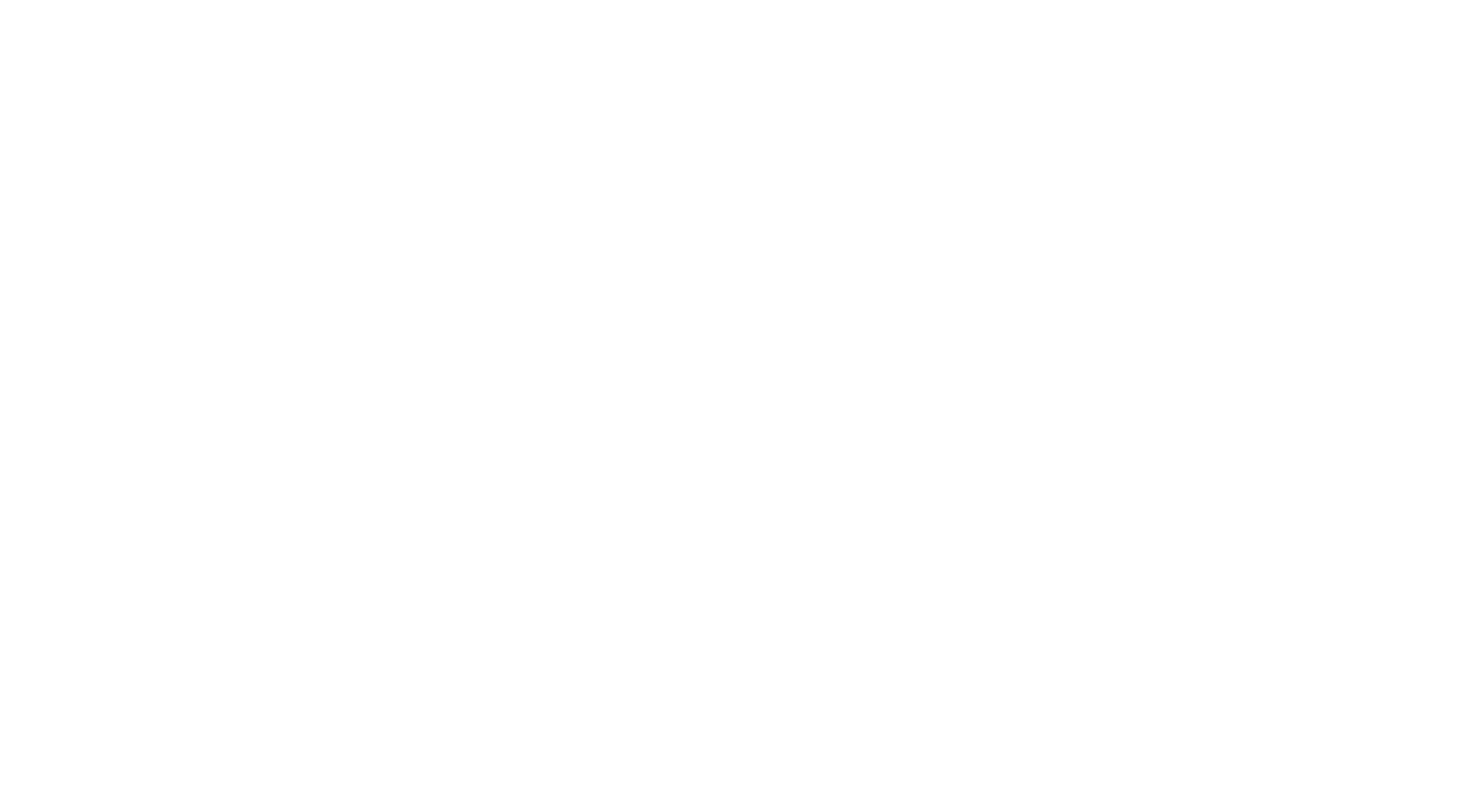 Pro-Precision Electrical logo