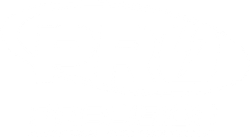 Pro-Precision Electrical logo