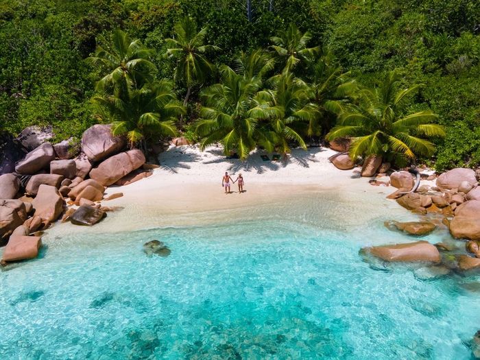 An aerial view of a couple standing on a tropical beach.