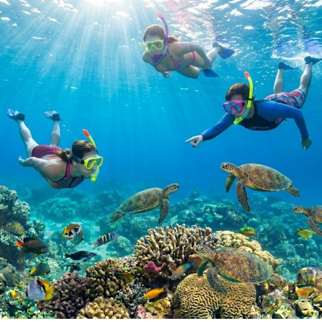 best time of day to snorkel Molokini