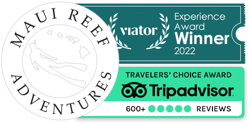 Recommended by TripAdvisor and Viator Experience Award Winner 2022