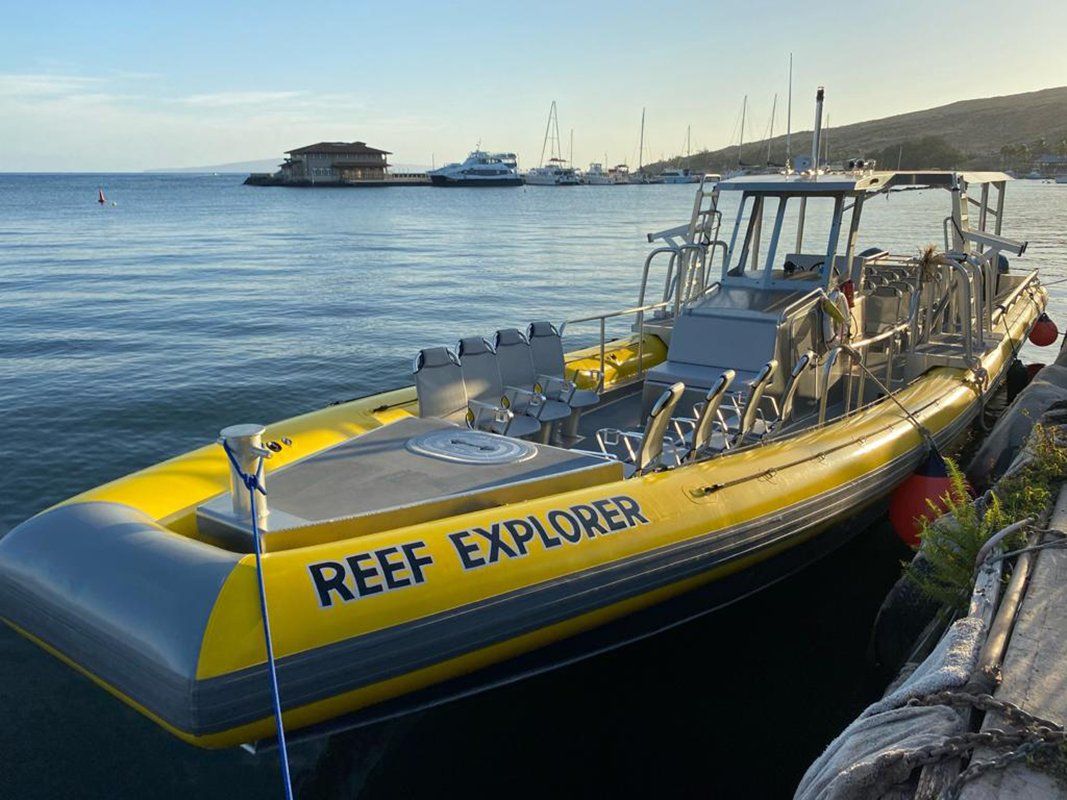 Close Up View of Speedboat — Wailuku, HI — Maui Reef Adventures