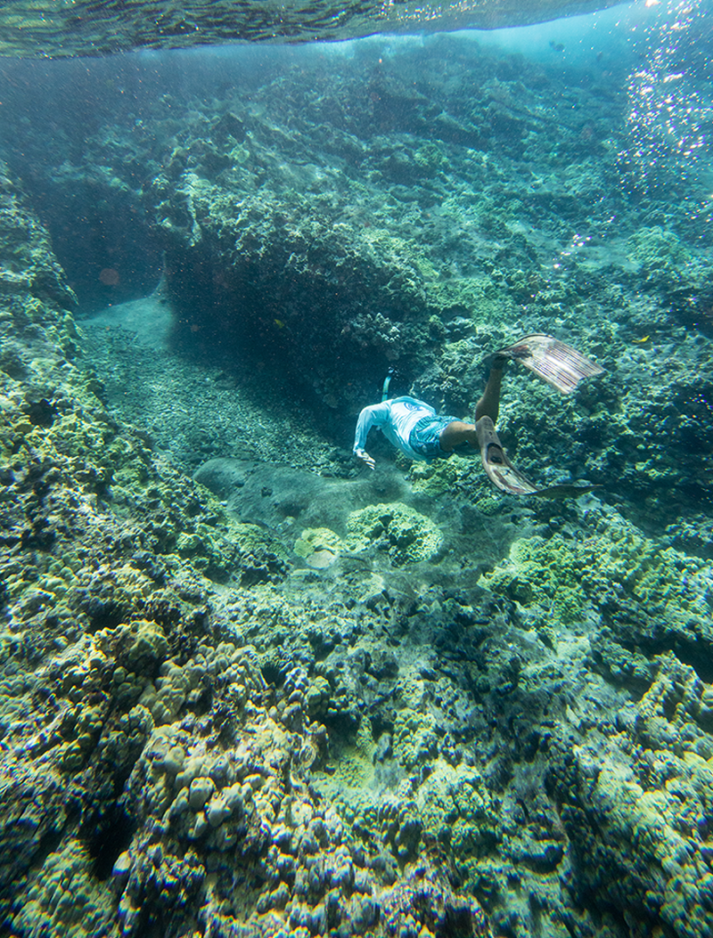 Snorkeling Tours — Wailuku, HI — Maui Reef Adventures