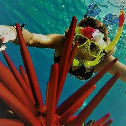 Snorkeling Adventure — Wailuku, HI — Maui Reef Adventures