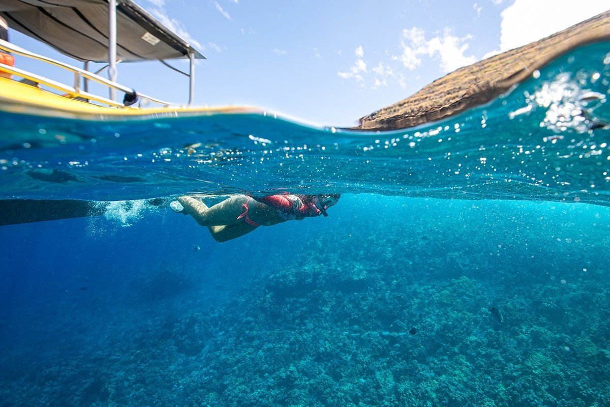 Woman Swimming at the Sea — Wailuku, HI — Maui Reef Adventures