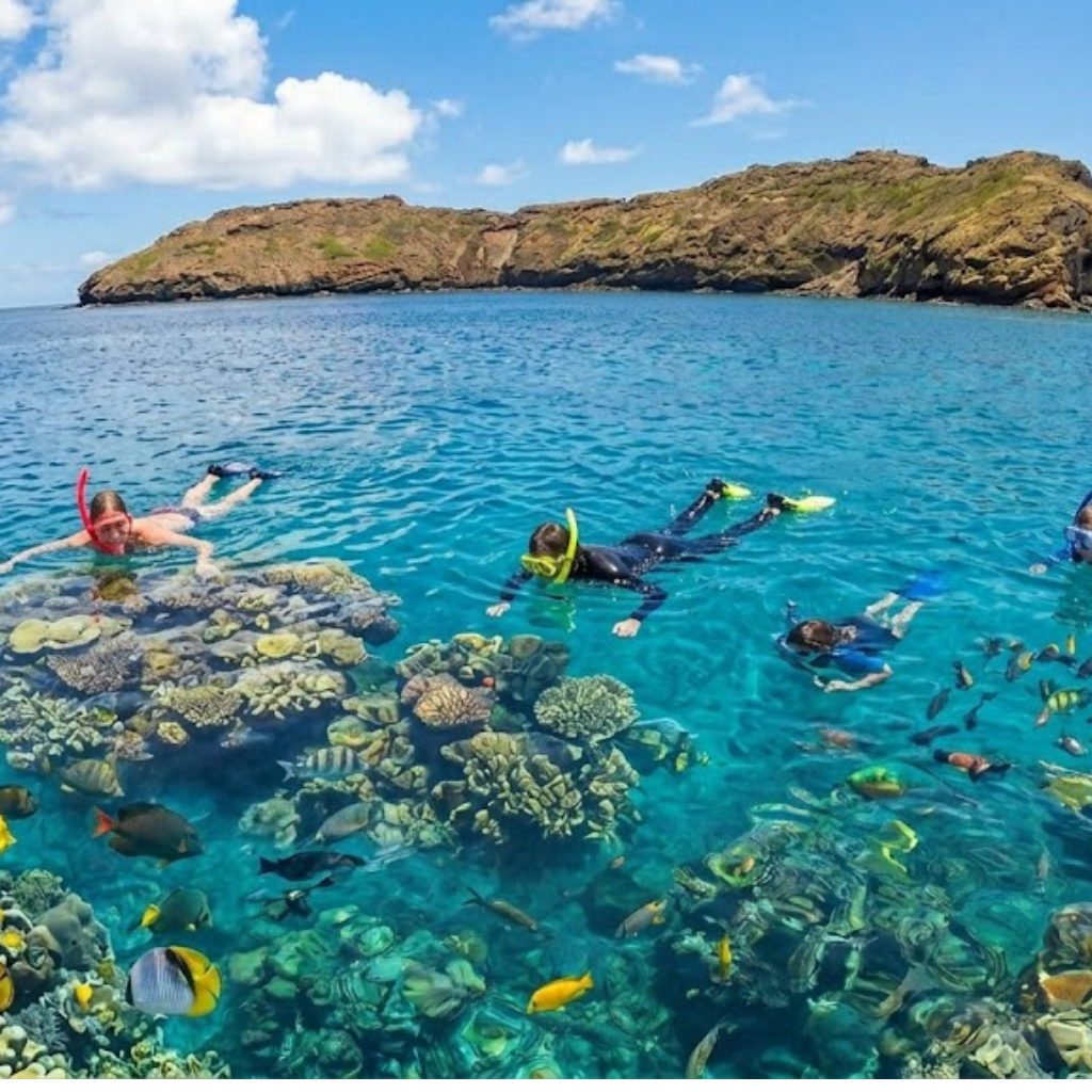 Molokini snorkeling tour from Maalaea Harbor