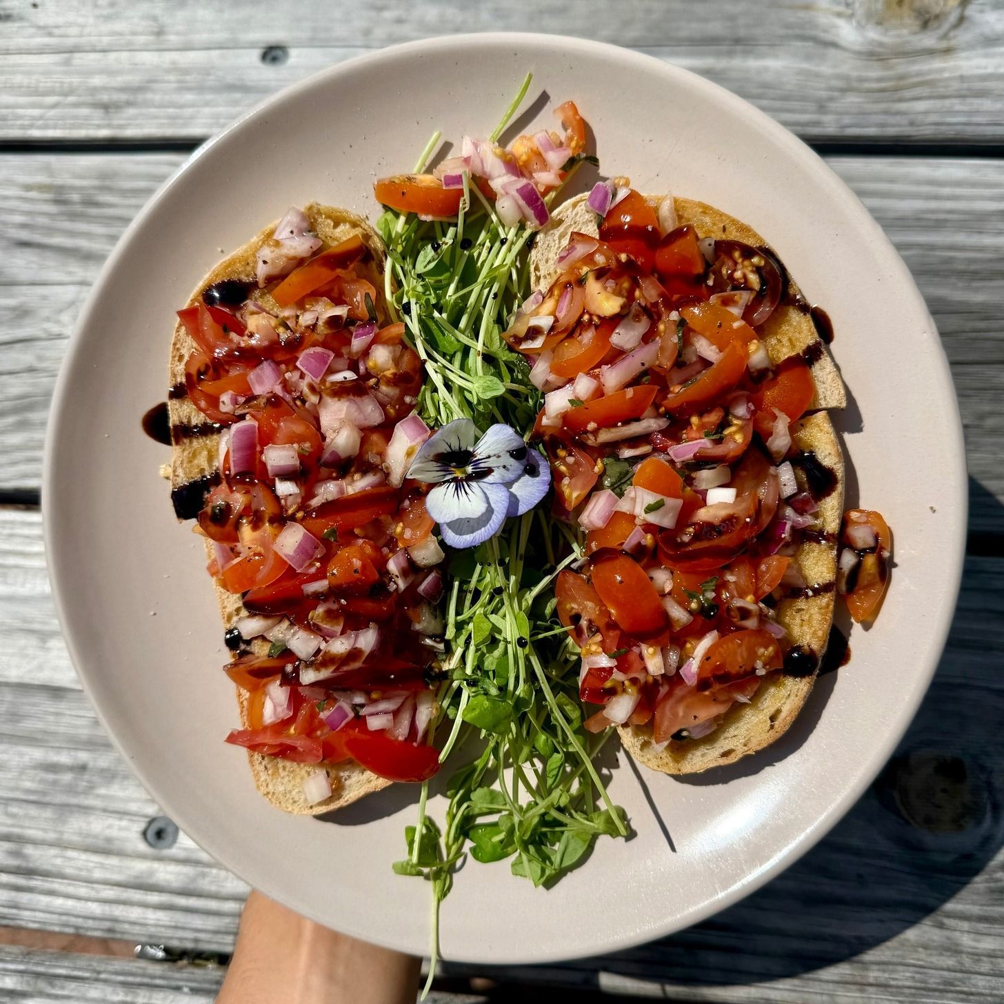 Bruschetta on a plate with diced tomatoes, red onions, and balsamic glaze, garnished with greens and a flower.— Relax in Paradise in Yeppoon, QLD