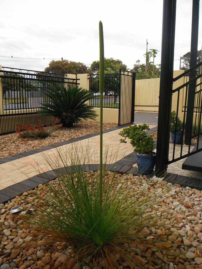 metal fence and tile walkway